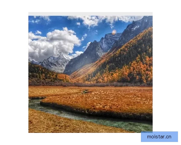 探寻“青青草视频免费”的无限可能：一次关于自由与视界的深度对话