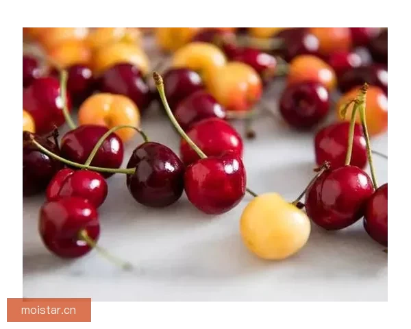 樱桃视频网页版：点亮你的视界，解锁无限精彩